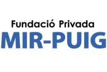 mir logo